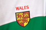 adidas Wales Track Top